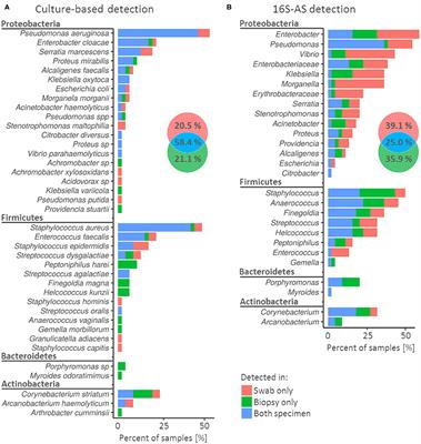 Comparison Between Cultivation and Sequencing Based Approaches for Microbiota Analysis in Swabs and Biopsies of Chronic Wounds